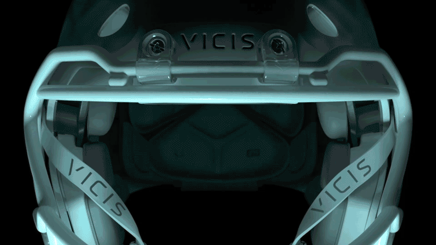 Field of vision