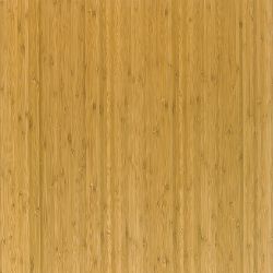 WoodWorks Concealed