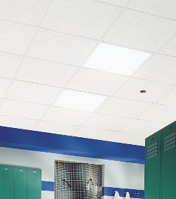 Ceramaguard Fine Fissured