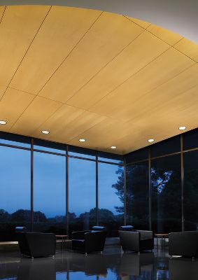 WoodWorks Concealed by Armstrong