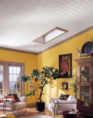 Living Room Ceiling Design on Ceilings  Living Room Ceiling Design Gallery Modern Style