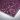 Splash Plum
