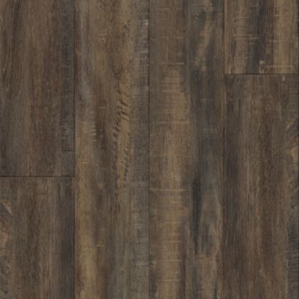 Parallel 20 Trunk Of Tahoe Vinyl