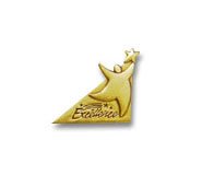 75833: Lapel Pin - Cornerstone Excellence