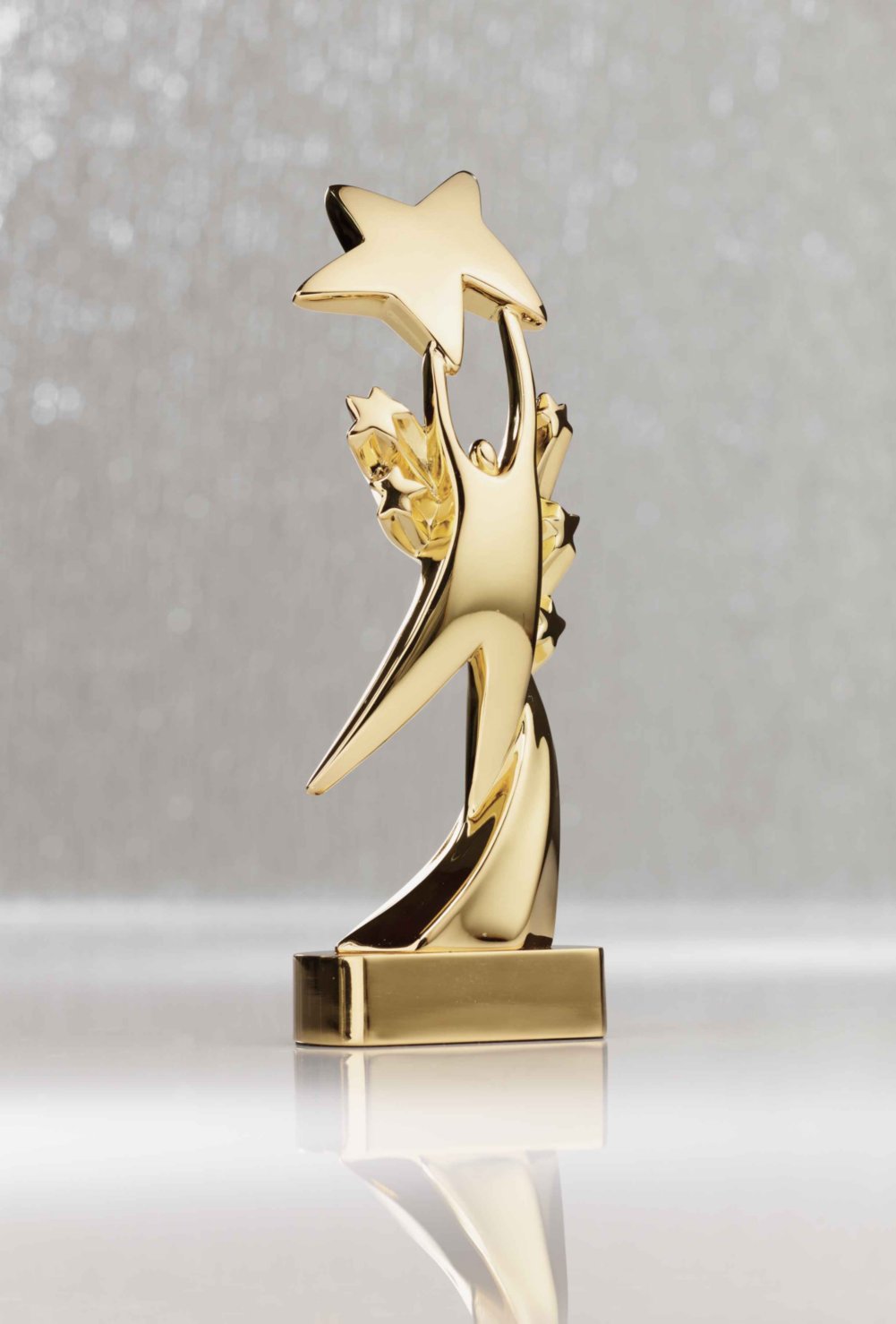 Gold Star for Excellence Awards at