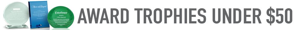 Award Trophies Under $50