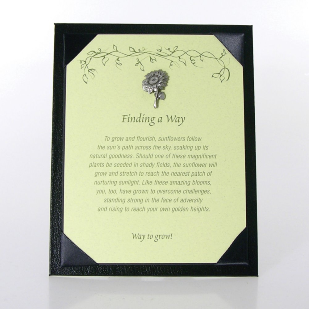 Pin Presentation Board - Black