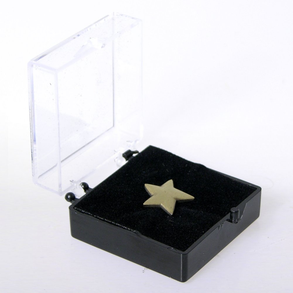 Lapel Pin - Gold Star BOX