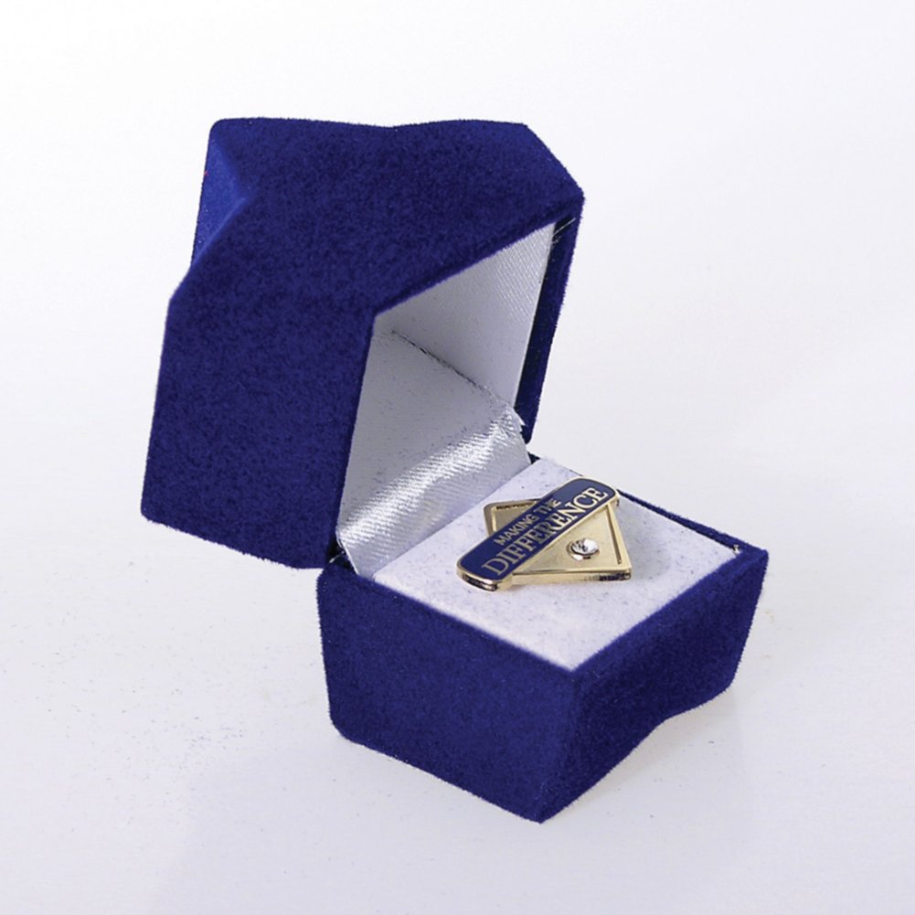 Starlite Lapel Pin Gifts - Making the Difference
