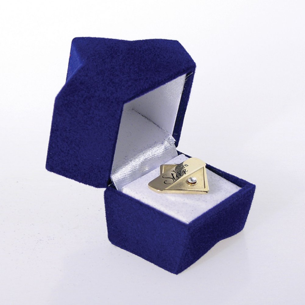 Starlite Lapel Pin Gifts - You're a Star