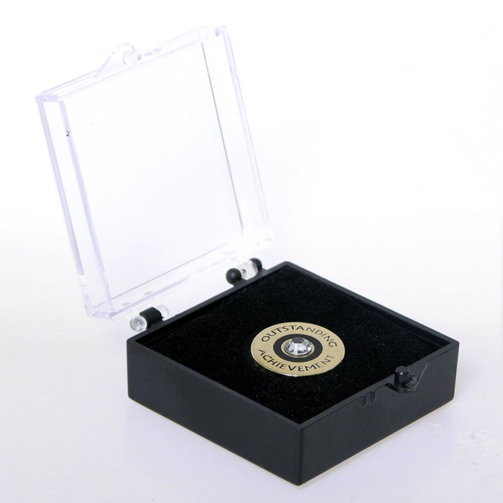 Lapel Pin - Outstanding Achievement w/ Gem BOX