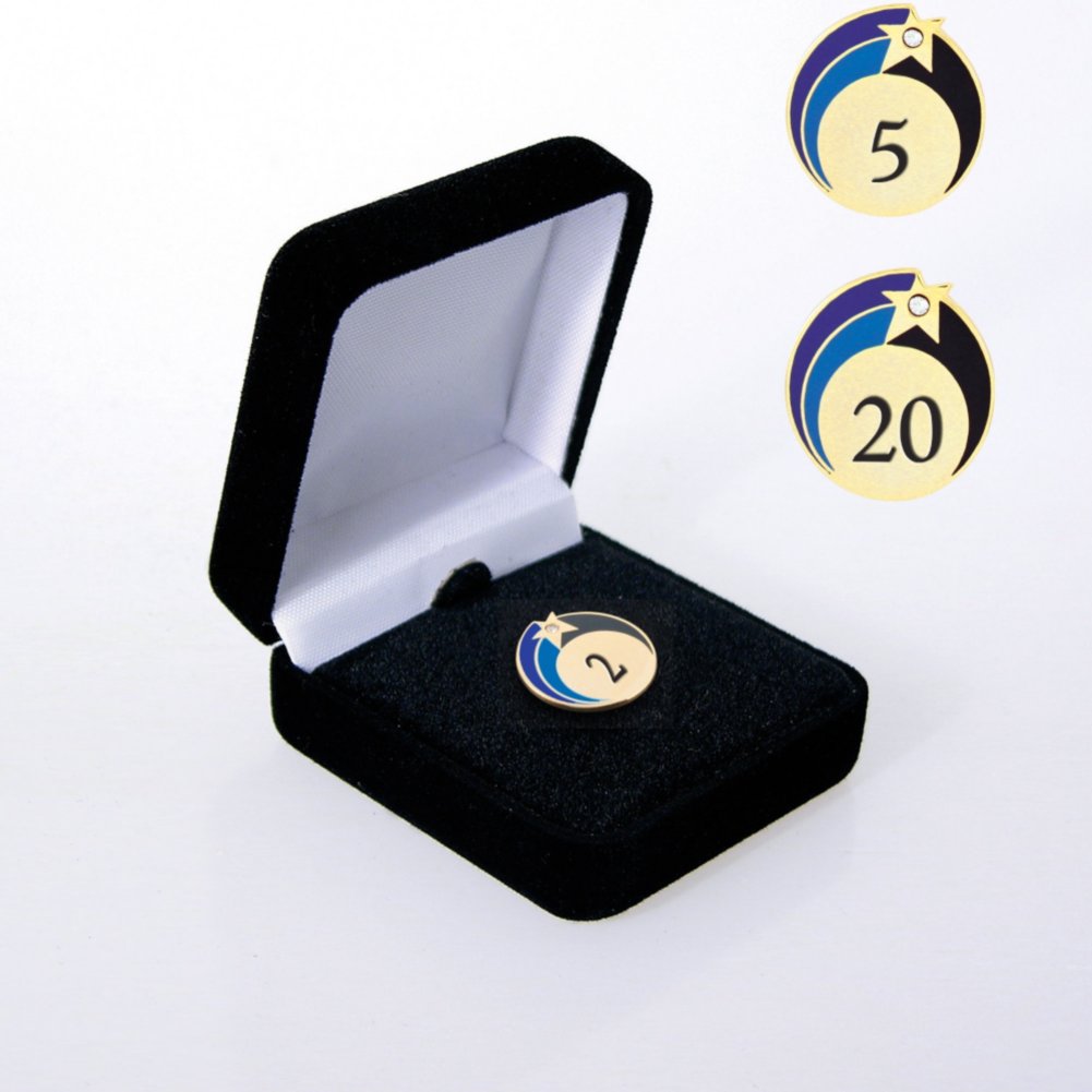 Lapel Pin - Anniversary Stars