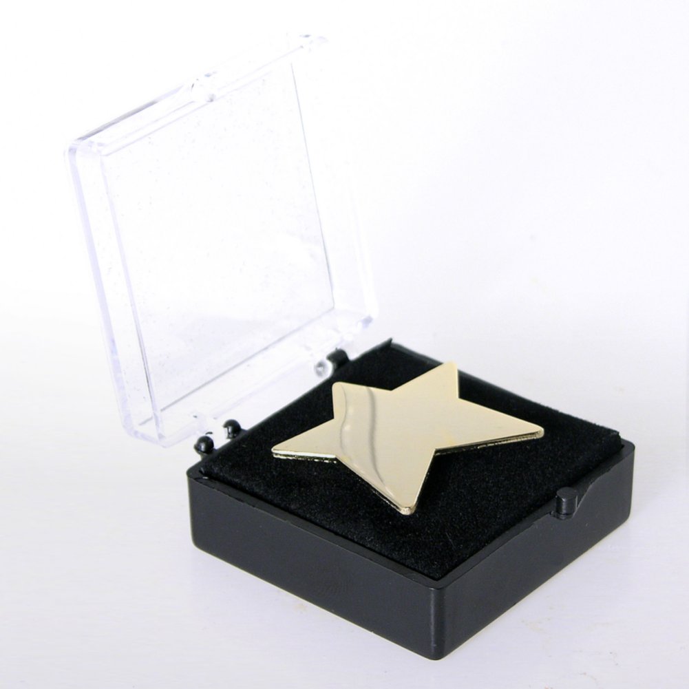 Personalized Lapel Pin - Gold Star BOX
