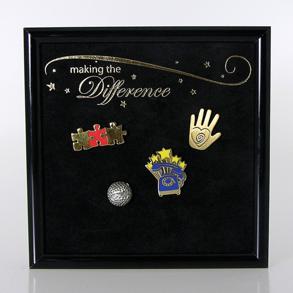Award Pin Display - Making the Difference