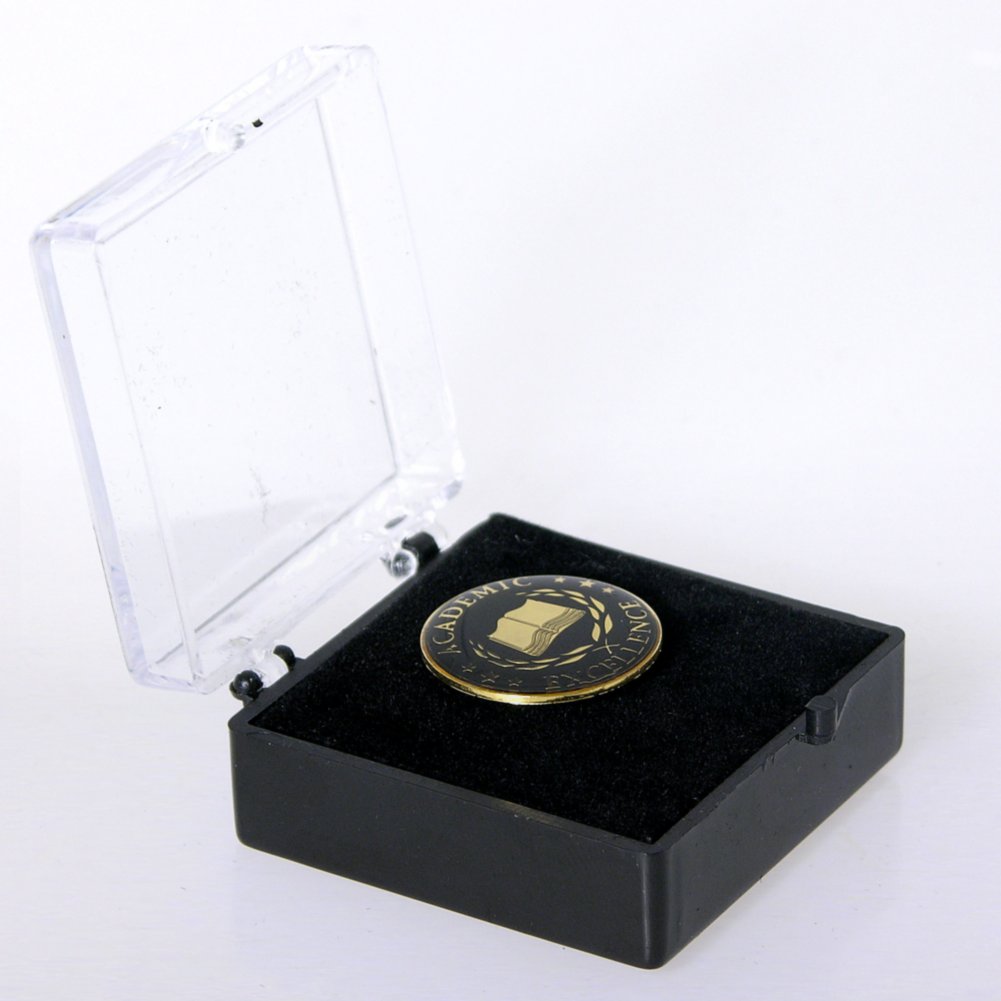 Lapel Pin - Academic Excellence BOX