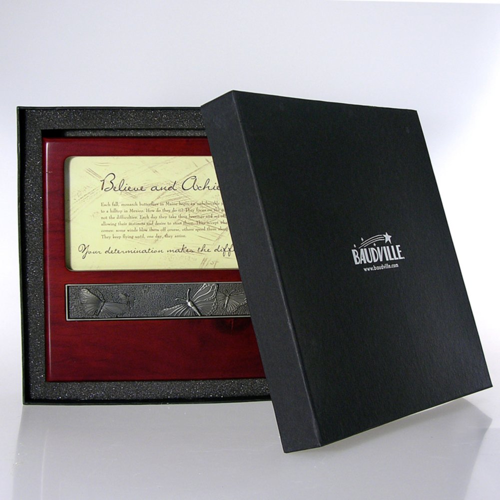 Character Impressions Trophy- Butterfly: Believe and Achieve BOX