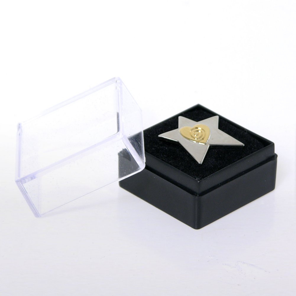 Lapel Pin - Two-Tone Star with Heart and Swirl BOX