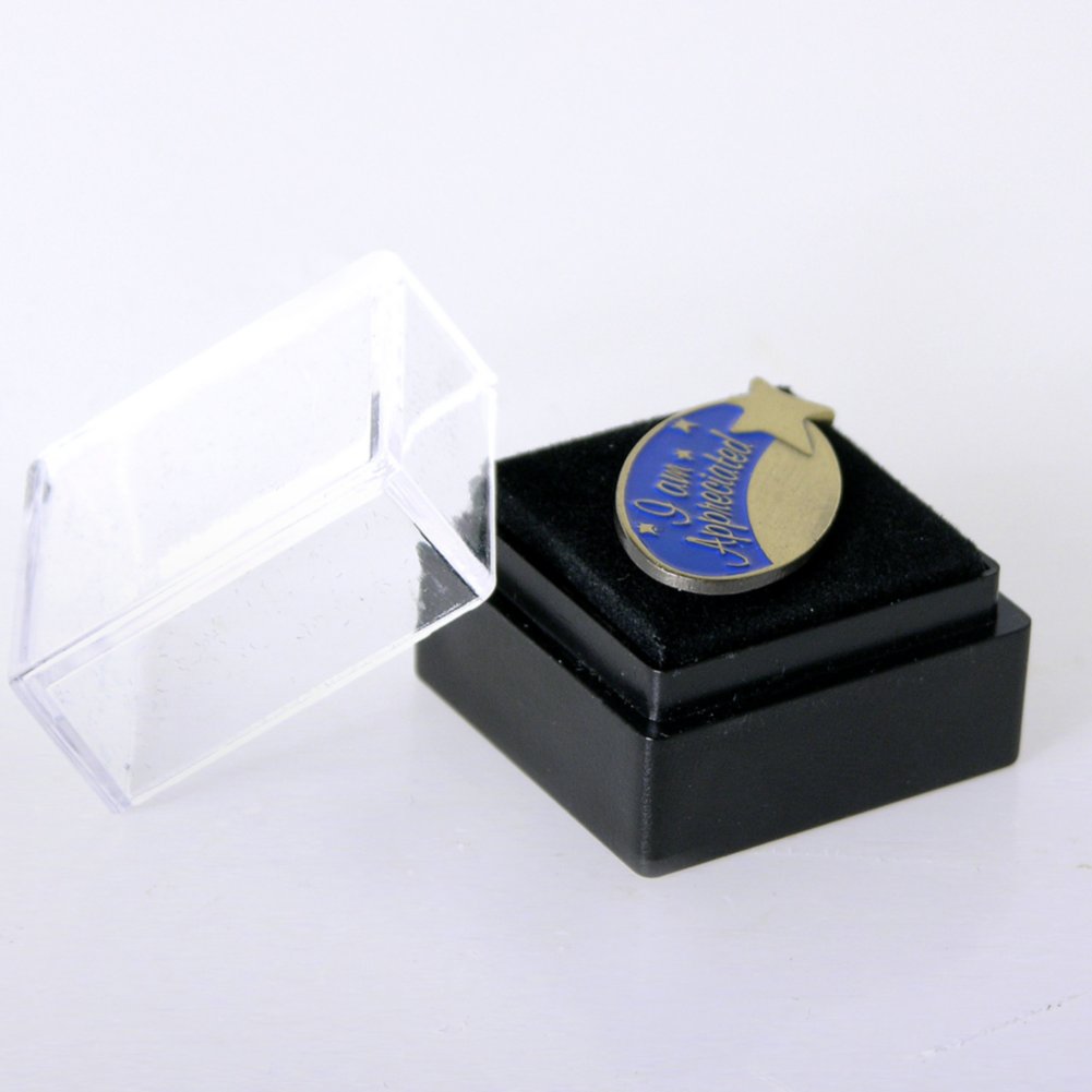 Lapel Pin - I Am Appreciated BOX