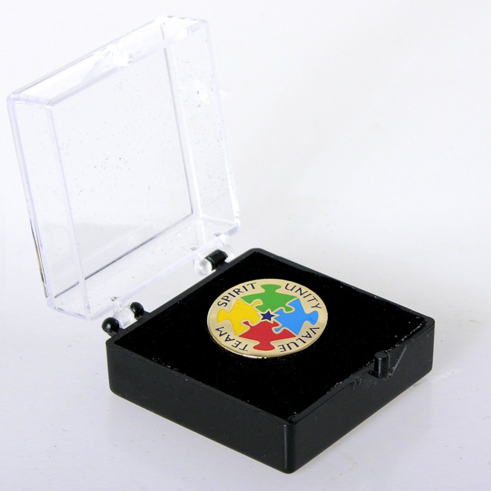 Lapel Pin - Team, Spirit, Unity, Value BOX