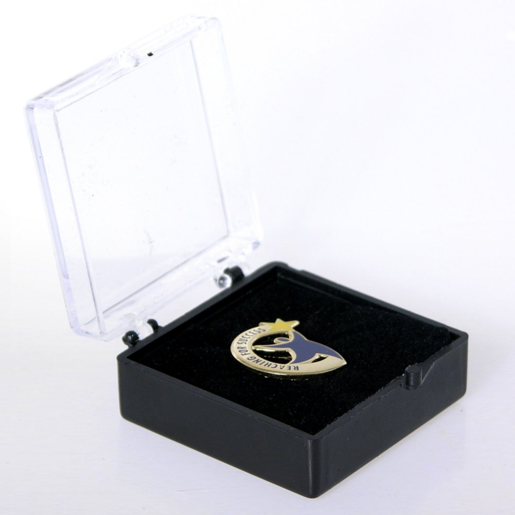 Lapel Pin - Reaching for Success BOX