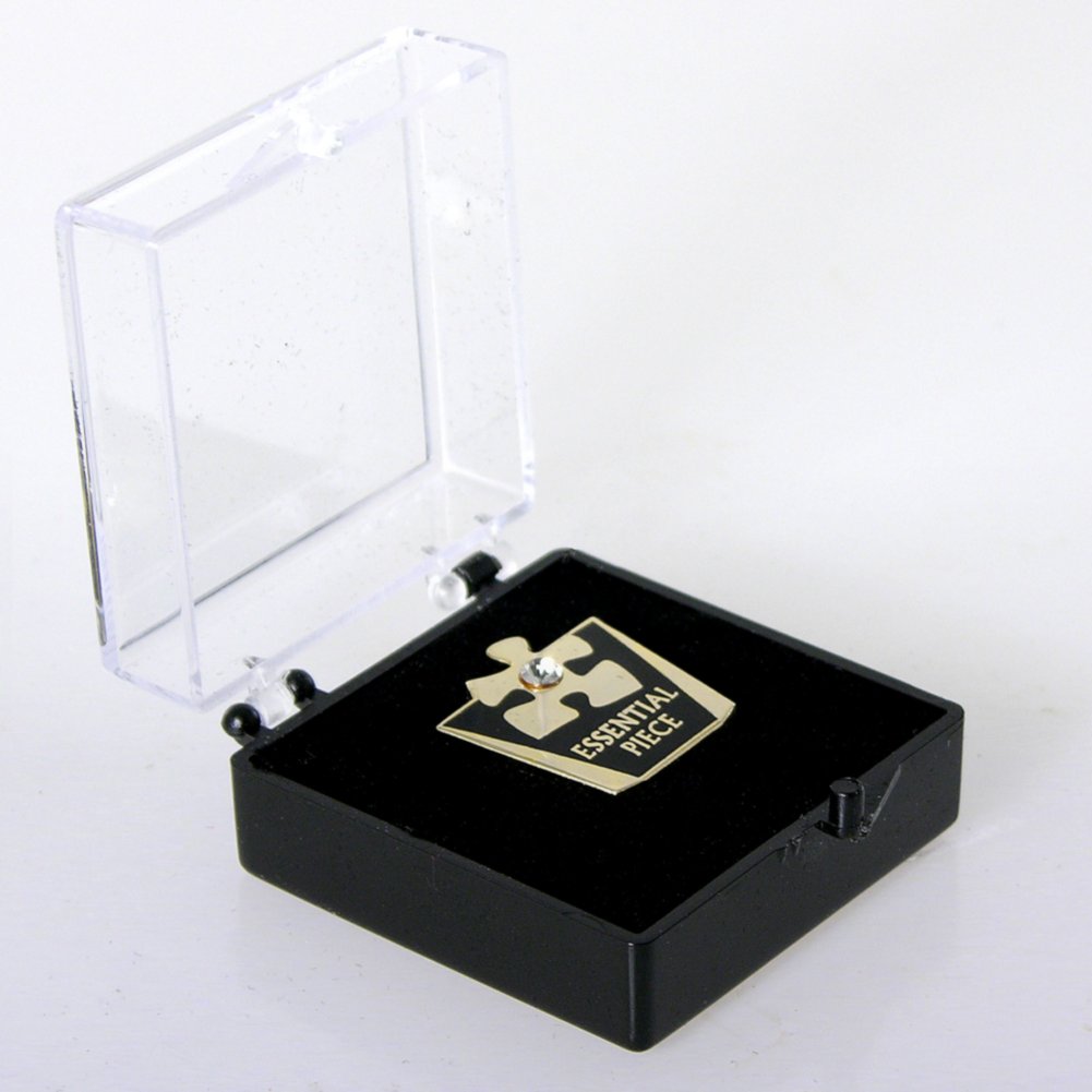 Lapel Pin - Essential Piece w/ Gem BOX