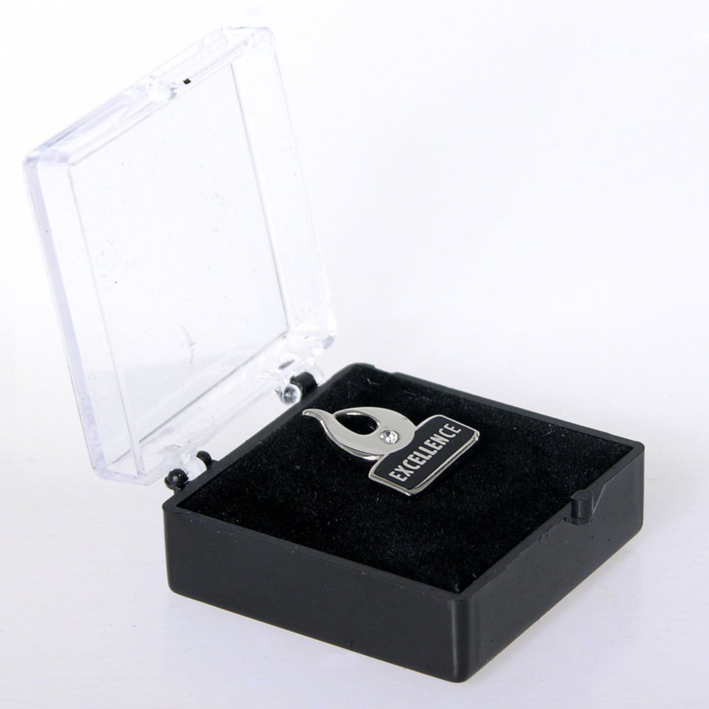 Lapel Pin - Flame Excellence w/ Gem BOX