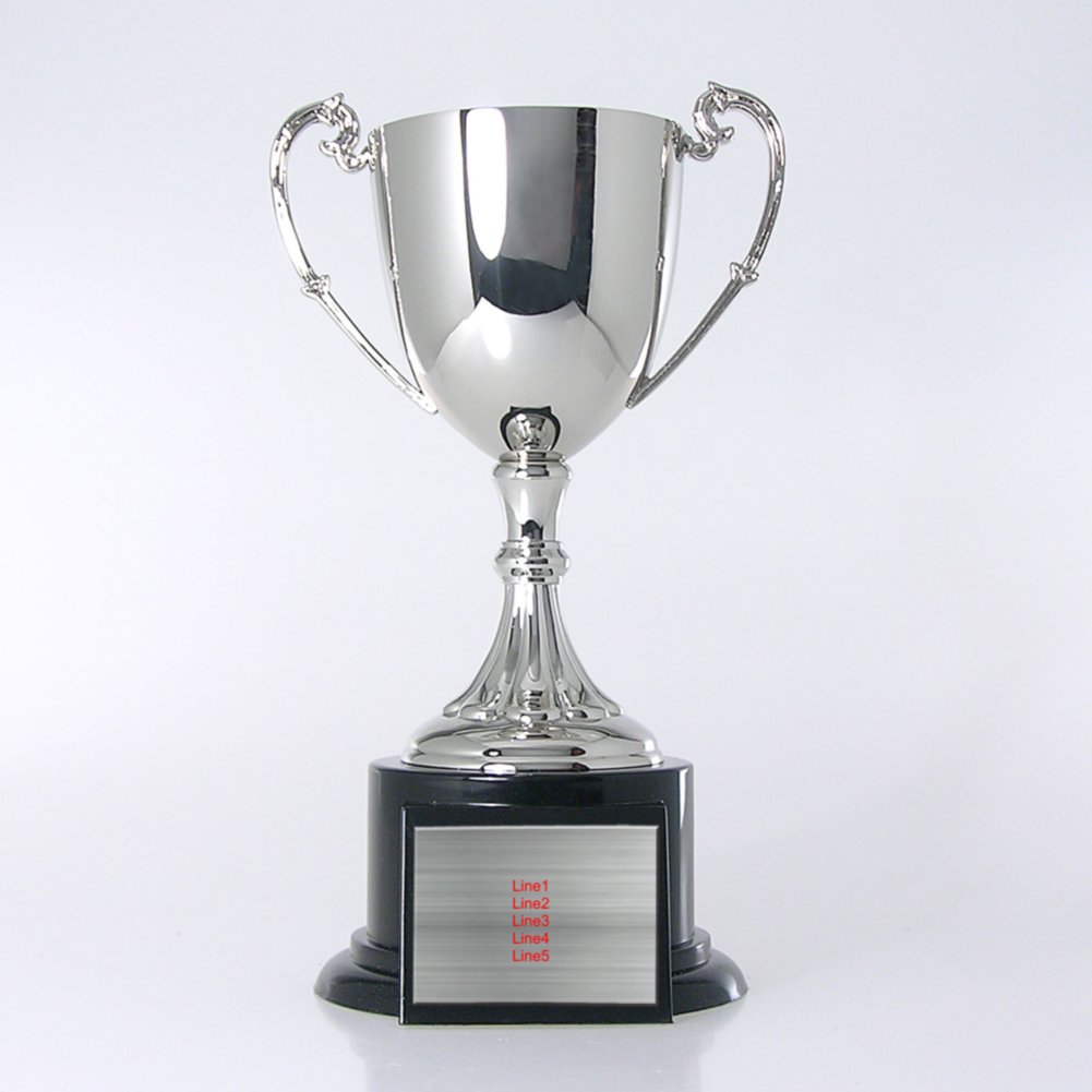 Trophy Cup - Silver