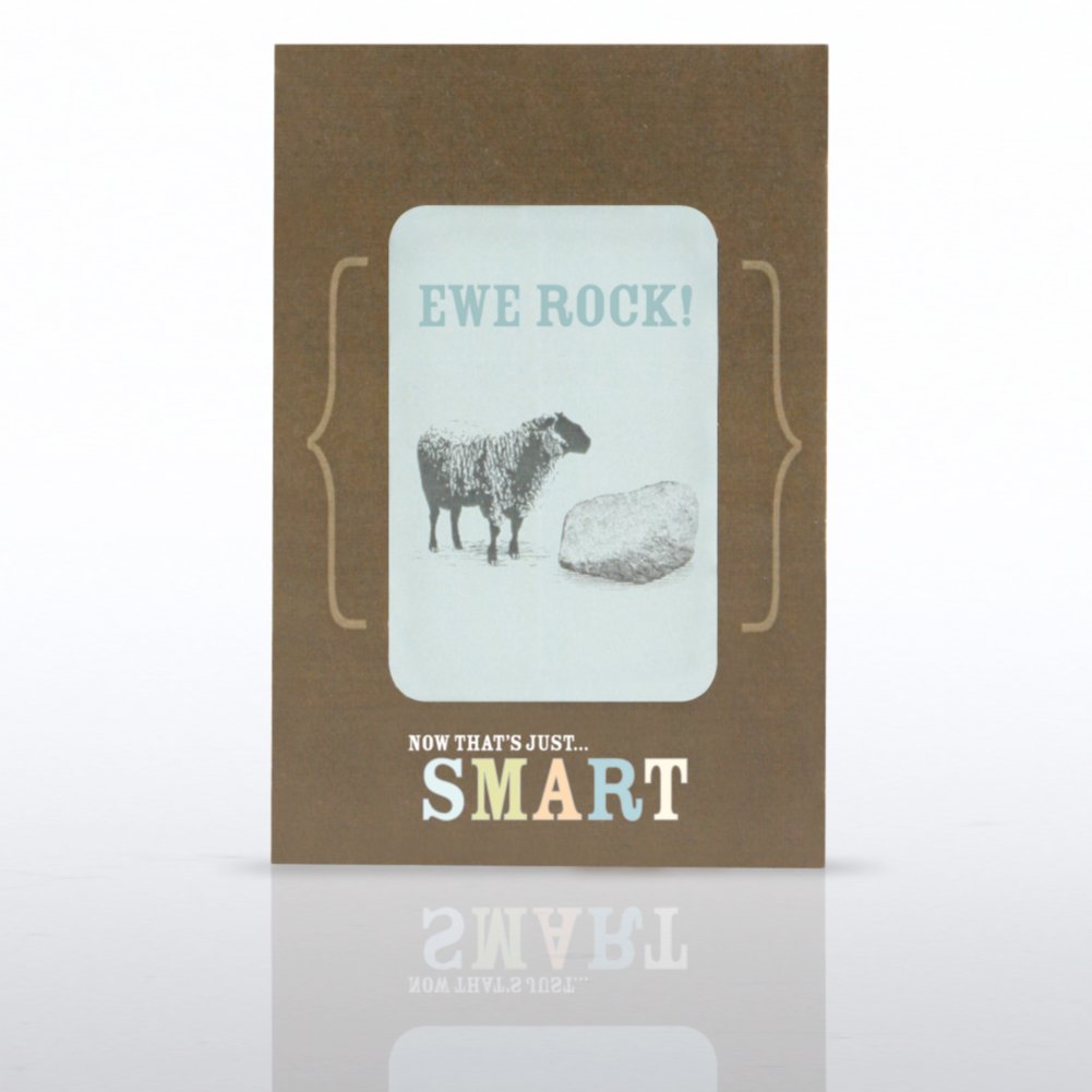 Cheers Kit - Smart CARD4