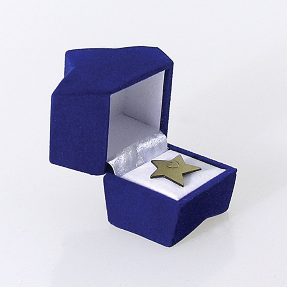Star Lapel Pin Presentation Box - Blue