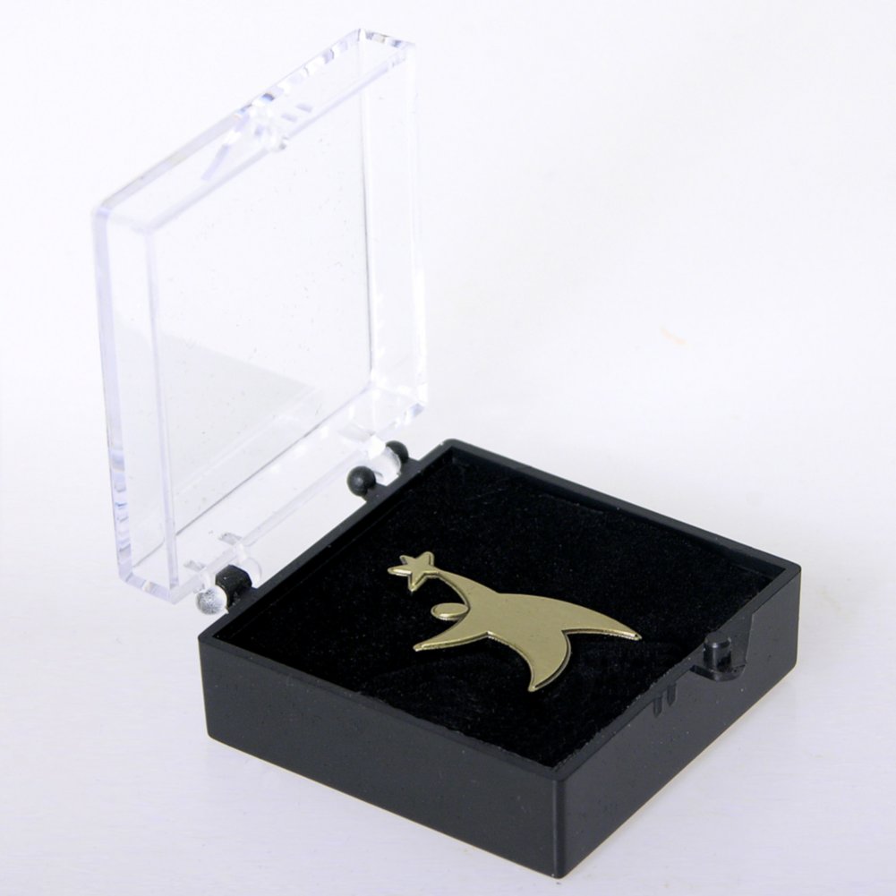 Lapel Pin - TEAM Guy Gold BOX