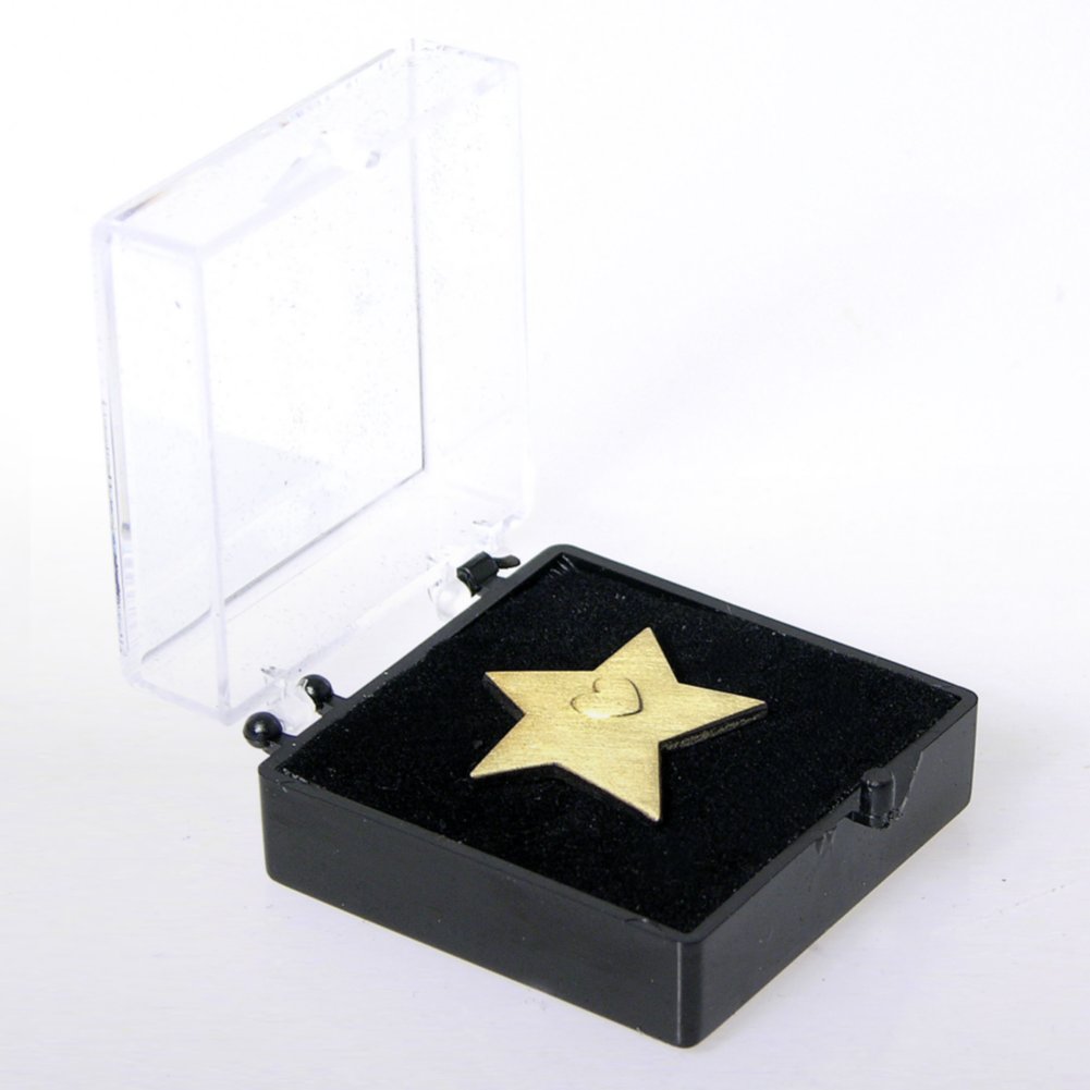Lapel Pin - Service Star Gold BOX