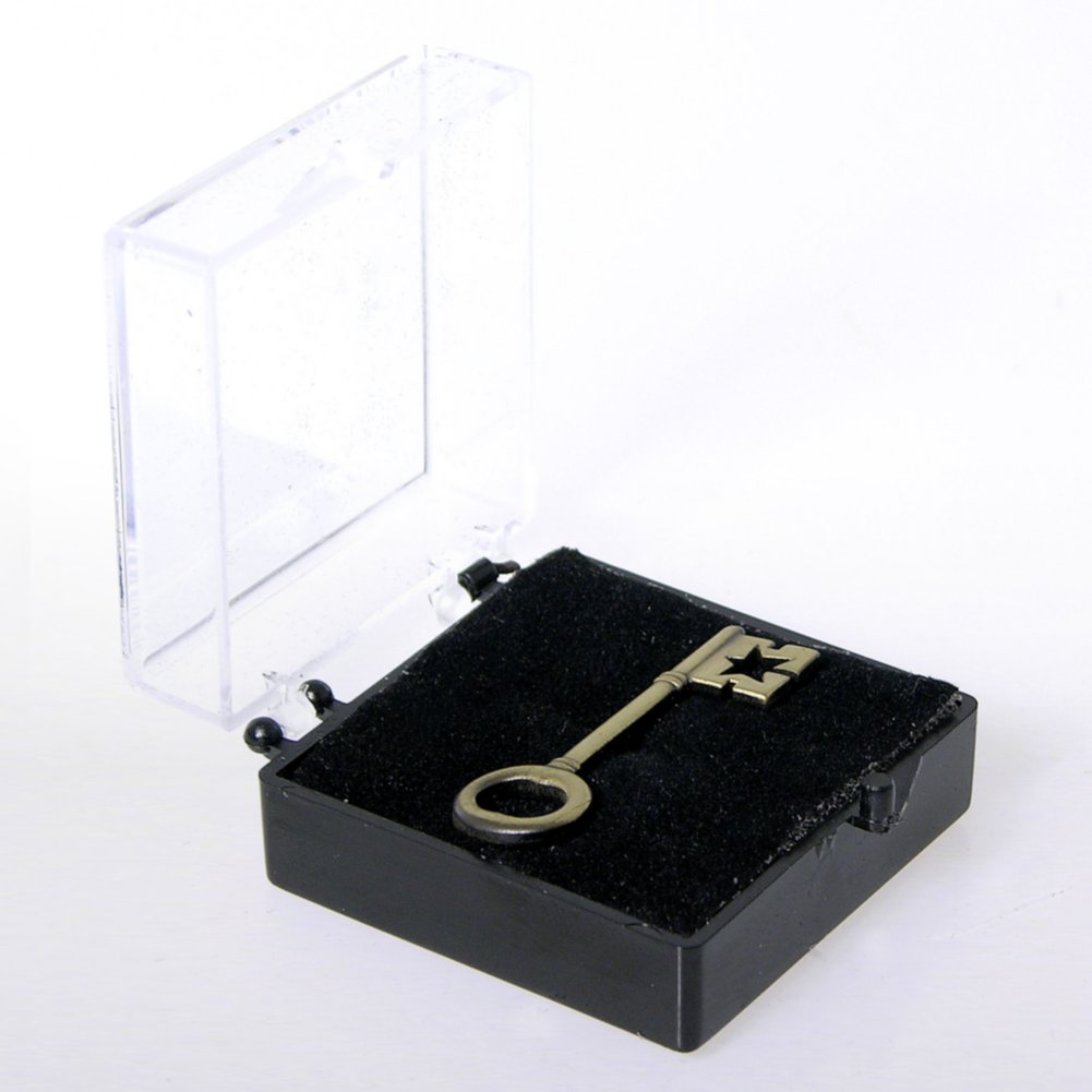 Lapel Pin - Key To Success BOX