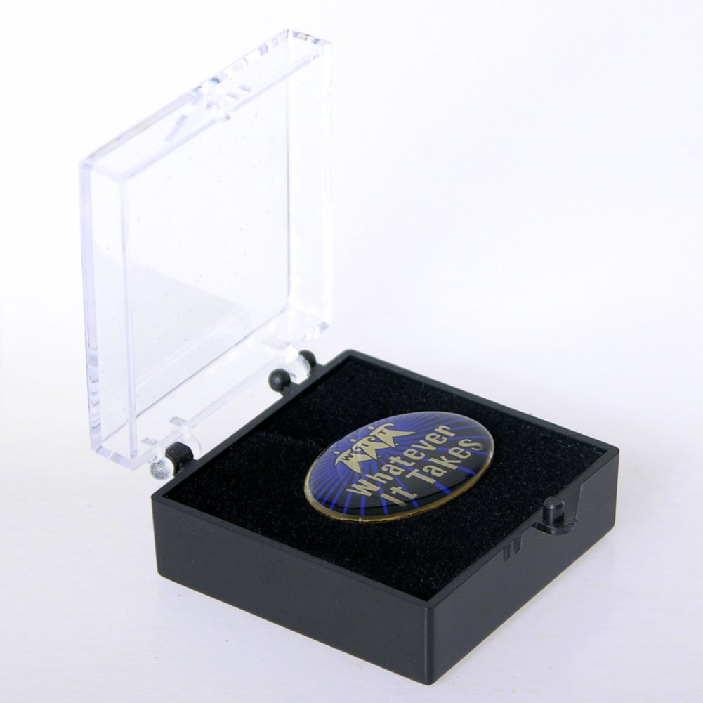 Lapel Pin - Whatever It Takes - Multi-Color BOX