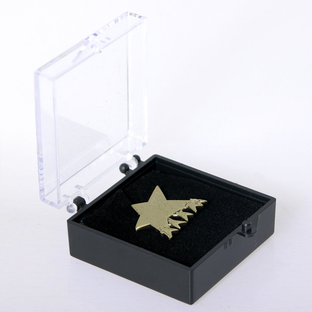 Lapel Pin - TEAM Results BOX