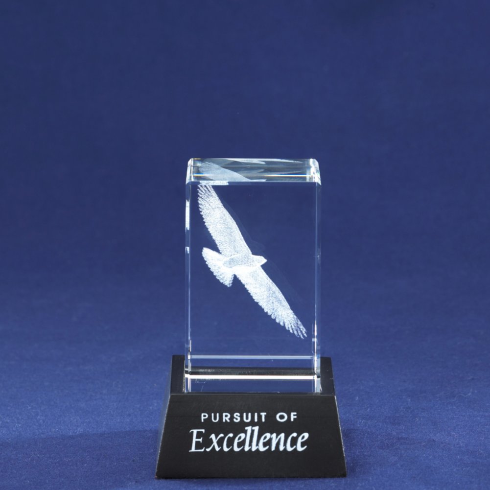 3-D Crystal Trophy - Eagle: Pursuit of Excellence BACK