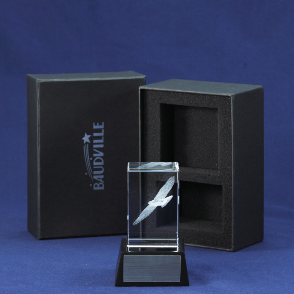 3-D Crystal Trophy - Eagle: Pursuit of Excellence BOX