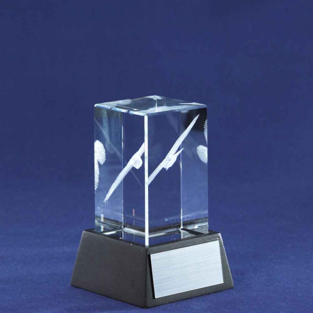 3-D Crystal Trophy - Eagle: Pursuit of Excellence SIDE