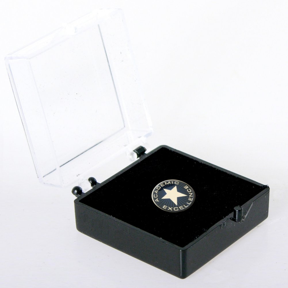 Lapel Pin - Academic Excellence Star BOX