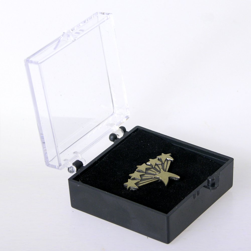 Lapel Pin - Five Star Service BOX