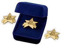 Anniversary Lapel Pin - Service Award Star