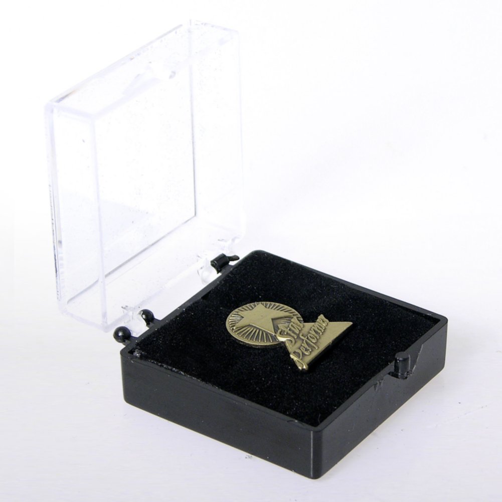 Lapel Pin - Star Performer BOX