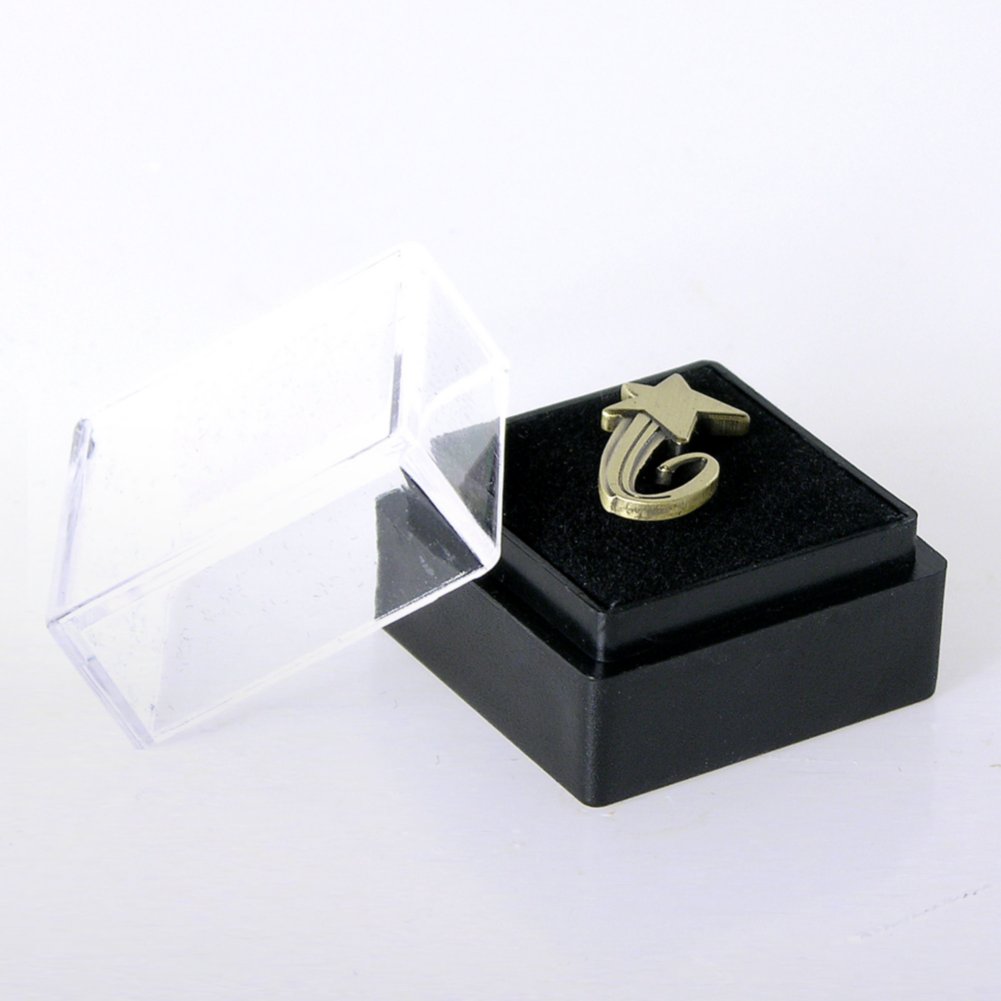 Lapel Pin - Rising Star BOX