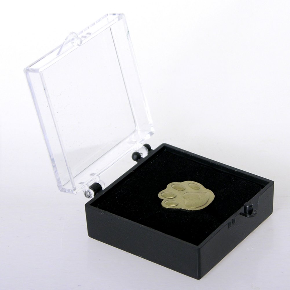 Lapel Pin - Pause for Praise BOX