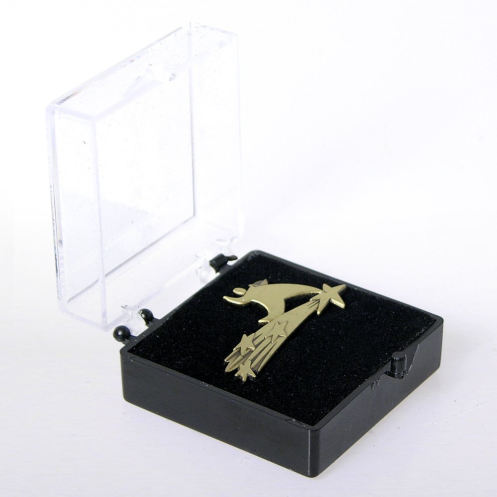 Lapel Pin - Leading the Way BOX