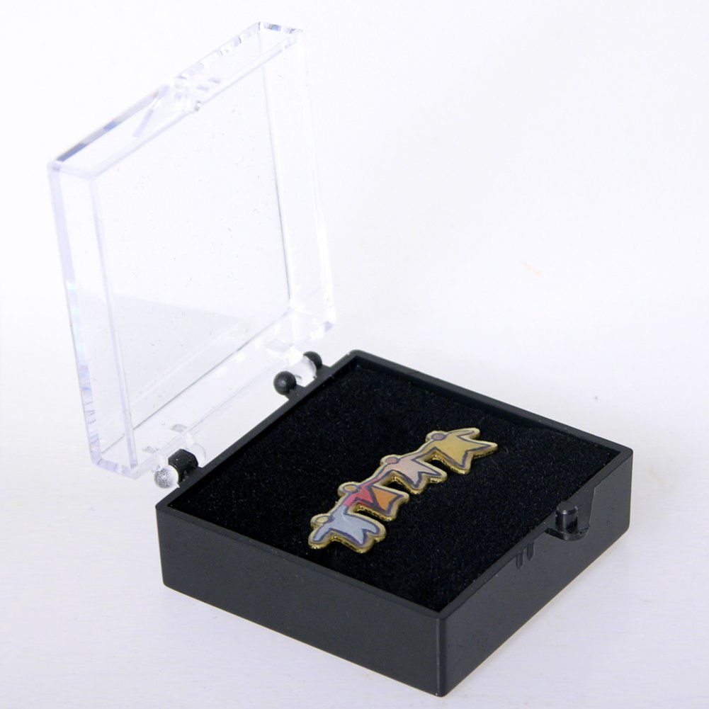 Lapel Pin - Diversity - Multi-Color BOX