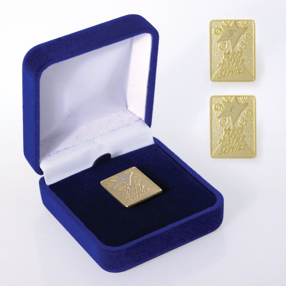 Anniversary Lapel Pin - Star Service