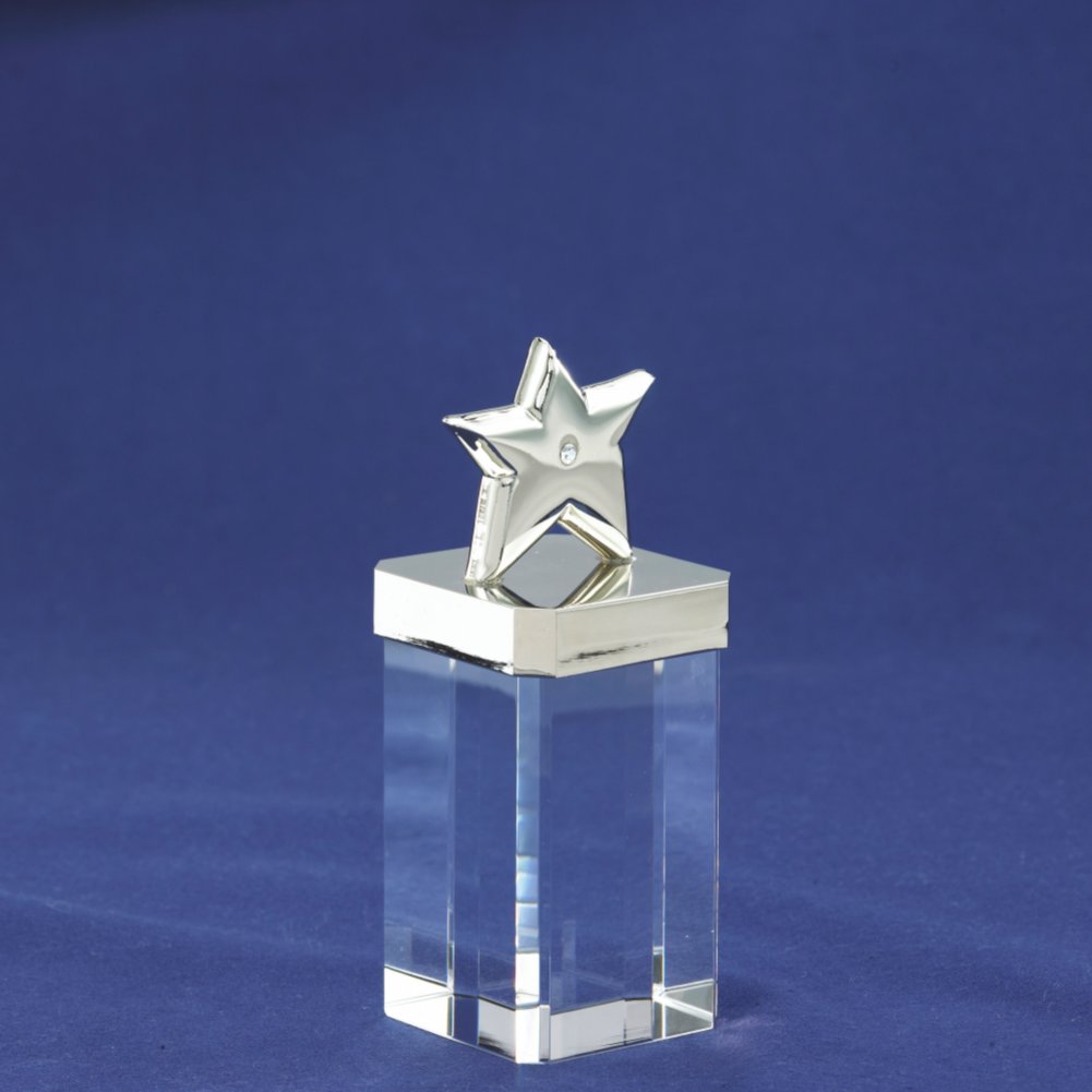 You're a Gem Trophy - Shining Star SIDE