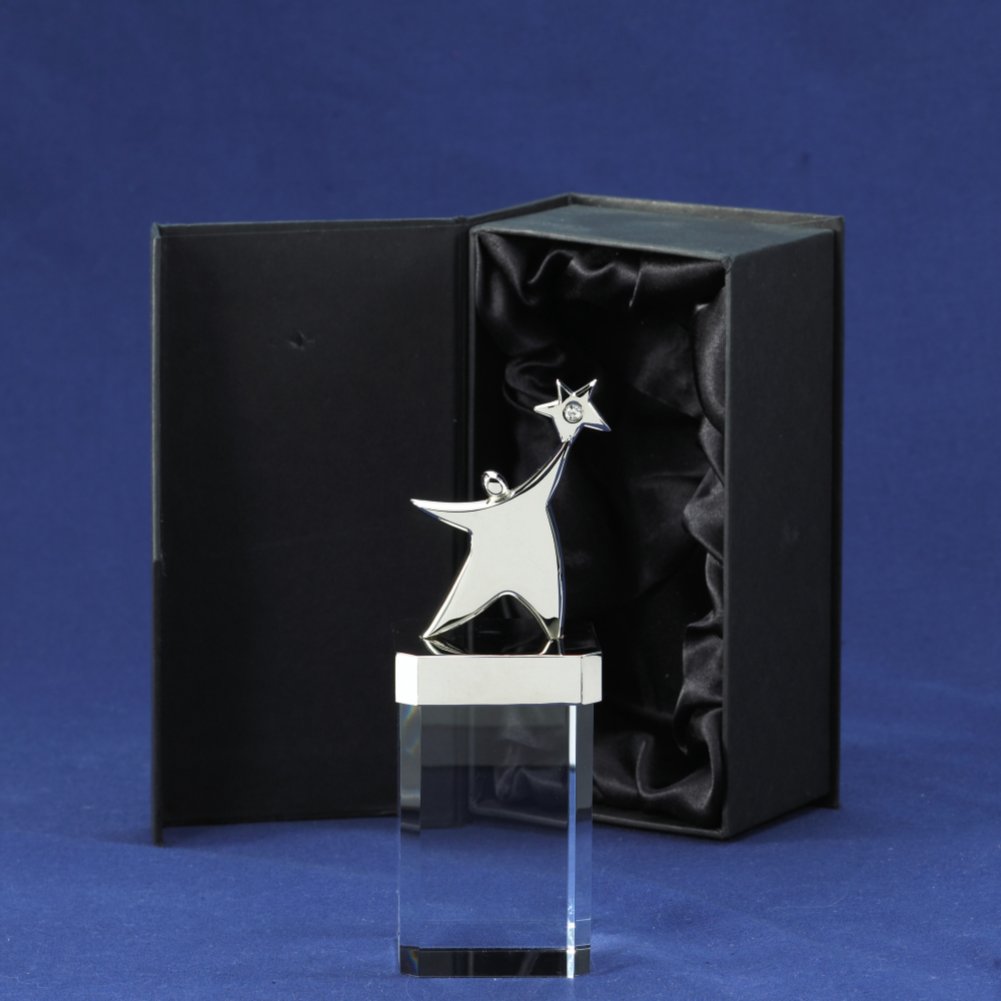You're a Gem Trophy - You Make the Difference BOX