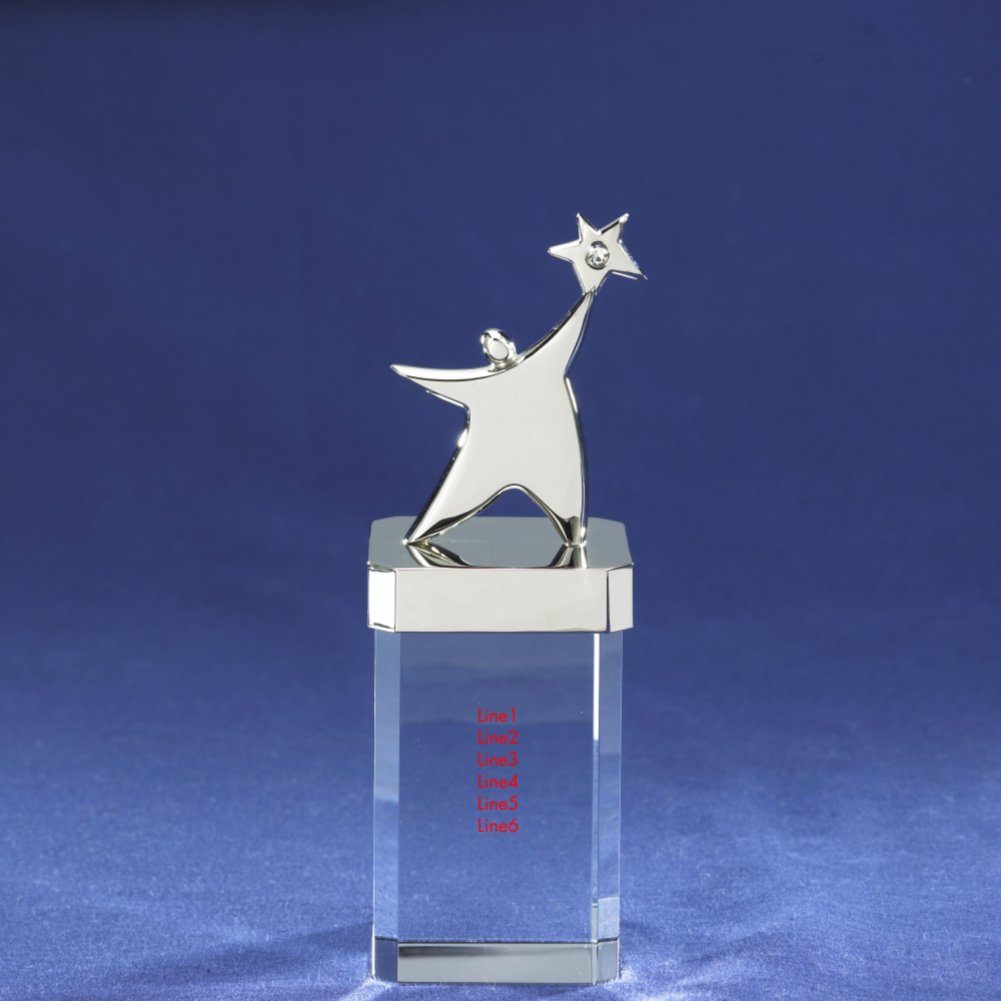 You're a Gem Trophy - You Make the Difference