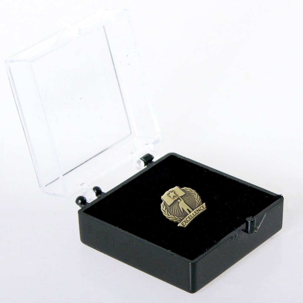 Lapel Pin - Academic Excellence - Book BOX